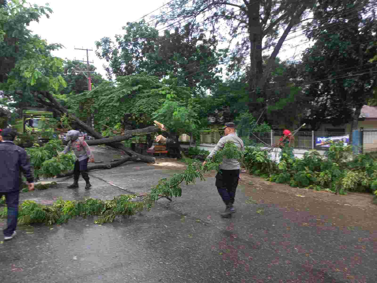 Sigap, Ditengah Hujan Polsek Darul Imarah Bantu Evakuasi Pohon Tumbang dan Warga Terdampak Banjir