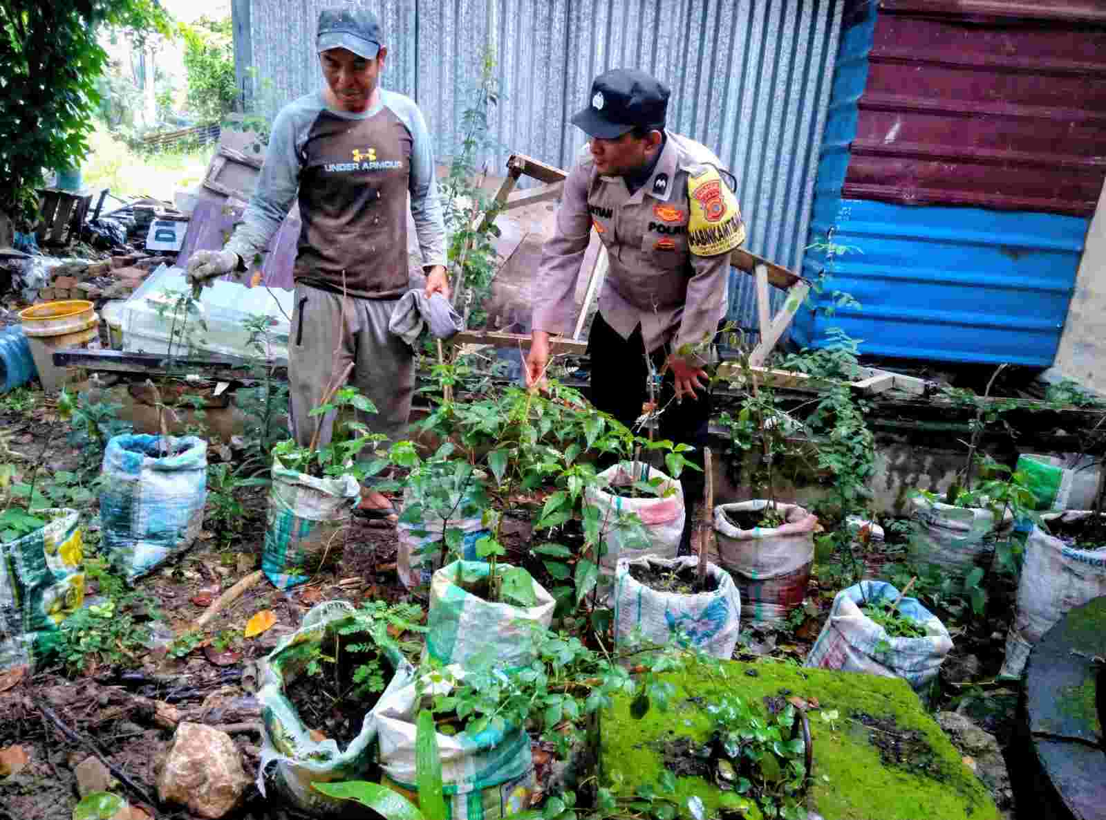Dukung Ketahanan Pangan, Personel Polsek Kutaraja Kunjungi Lahan Pertanian Warga