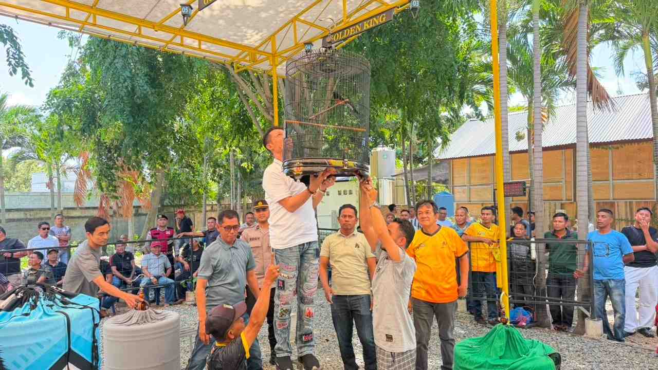 Kicau Mania Kapolresta Cup 2026 Perebutkan Hadiah Total Rp40 Juta - Tribratanews Polresta Banda Aceh